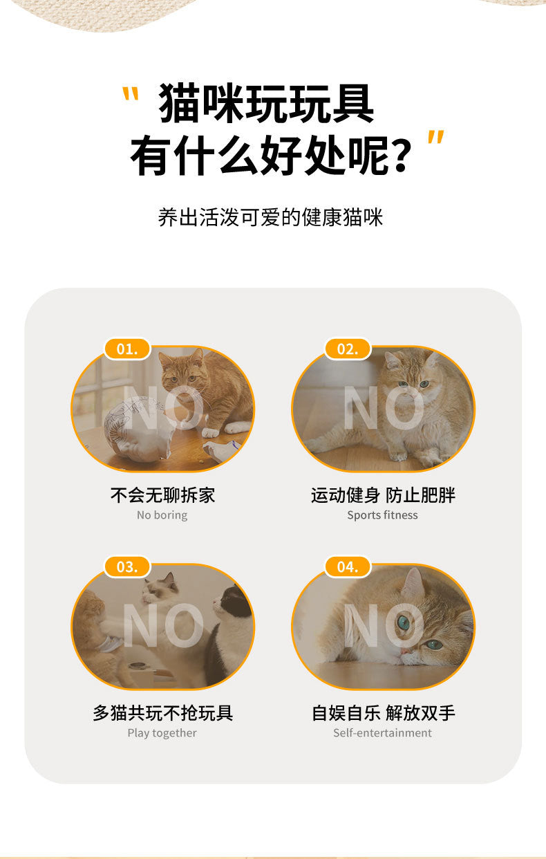 猫咪玩具捕獵罩